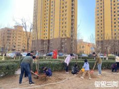 迎宾北路街道开展植树节义务劳动活动