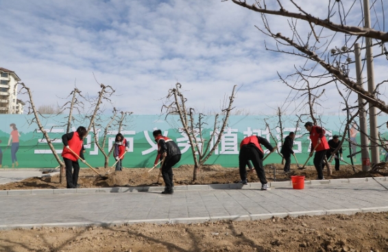 三河市组织开展2025年春季义务植树活动